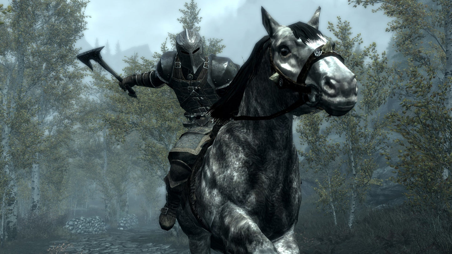 The Elder Scrolls V: Skyrim - Pack (PC) - Steam Key - GLOBAL   - Bethesda Softworks [Email/Instant Delivery]