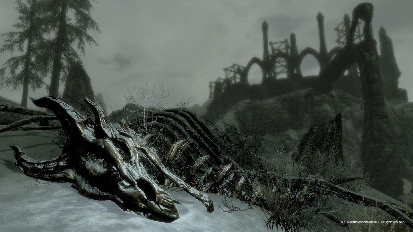 The Elder Scrolls V: Skyrim - Pack (PC) - Steam Key - GLOBAL   - Bethesda Softworks [Email/Instant Delivery]