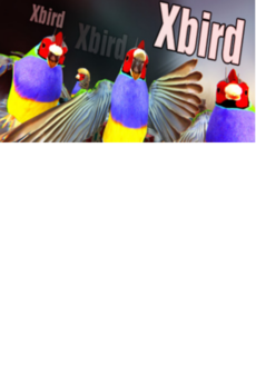 Xbird Steam Key GLOBAL   - Alexey Glinskiy [Email/Instant Delivery]