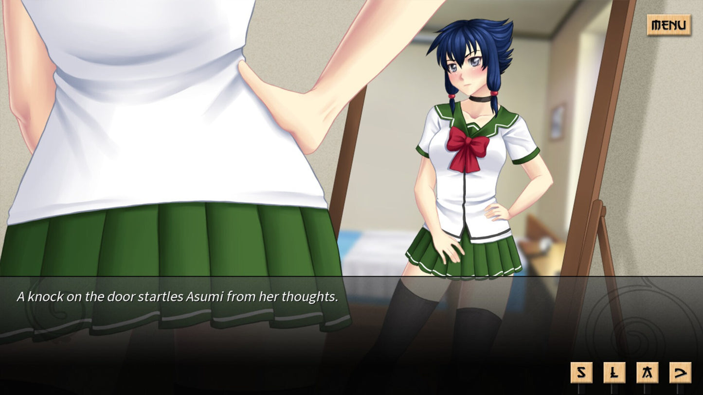 Sword of Asumi (PC) - Steam Key - GLOBAL   - Dharker Studio [Email/Instant Delivery]