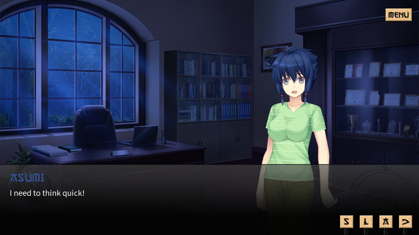 Sword of Asumi (PC) - Steam Key - GLOBAL   - Dharker Studio [Email/Instant Delivery]