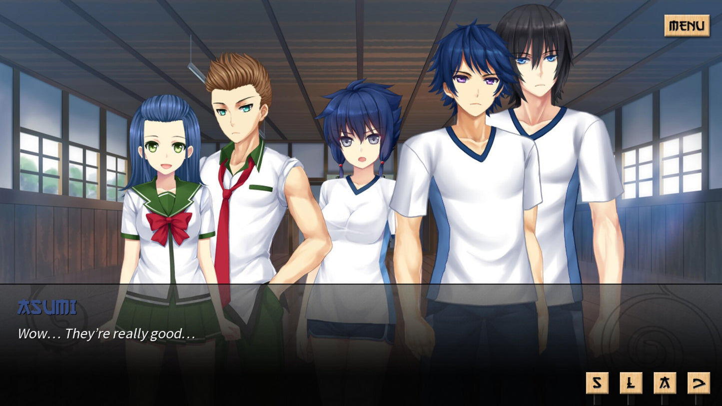 Sword of Asumi (PC) - Steam Key - GLOBAL   - Dharker Studio [Email/Instant Delivery]