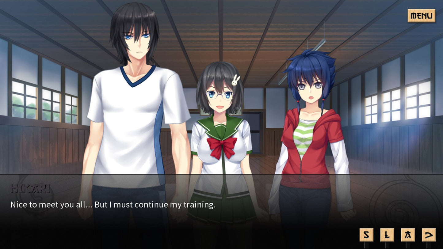Sword of Asumi (PC) - Steam Key - GLOBAL   - Dharker Studio [Email/Instant Delivery]