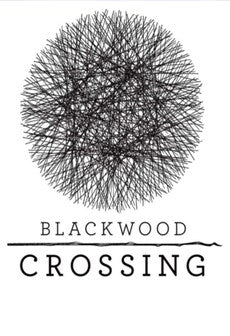 Blackwood Crossing (PC) - Steam Gift - GLOBAL   - Vision Games Publishing LTD [Email/Instant Delivery]