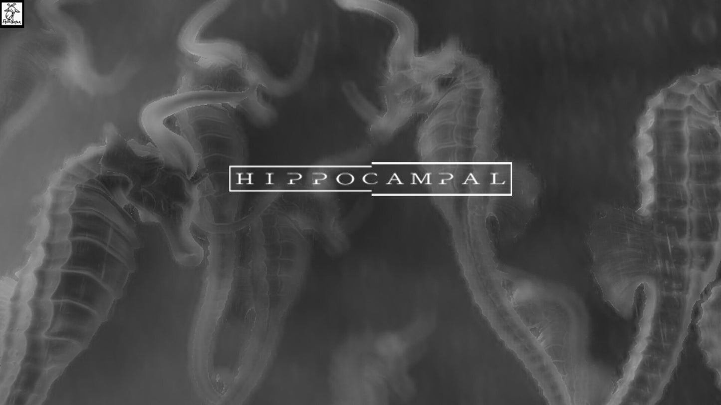Hippocampal: The White Sofa Steam Key GLOBAL   - Strategy First [Email/Instant Delivery]