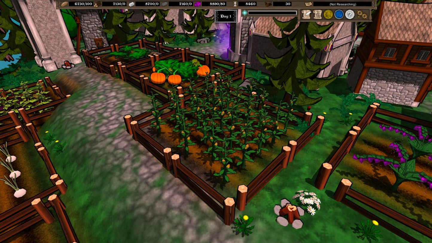 Siege of Turtle Enclave Steam Key GLOBAL   - The Conjurer's Tower [Email/Instant Delivery]