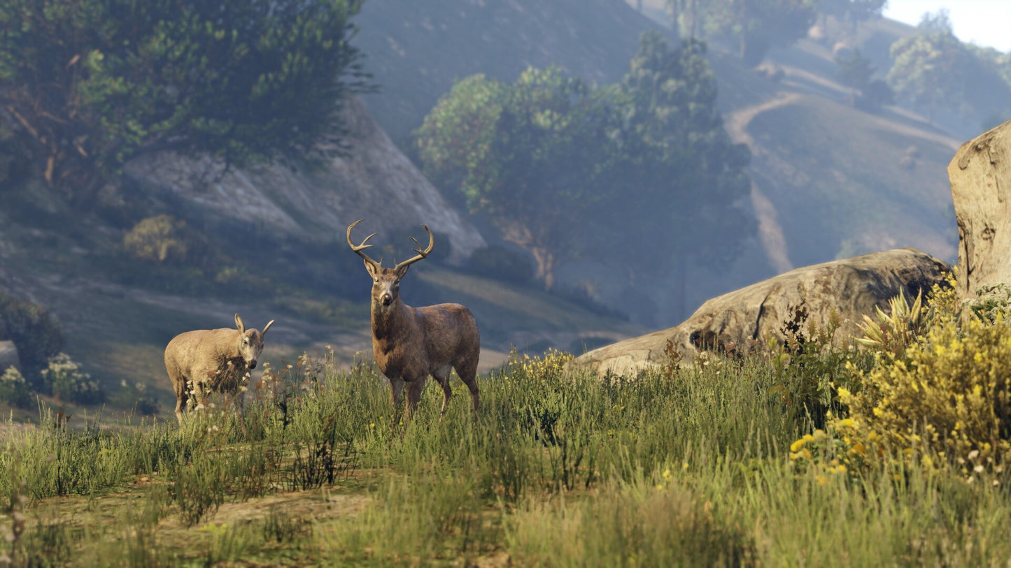 Grand Theft Auto V + Bonus Rockstar Key GLOBAL 8000000 Rockstar Key GLOBAL   - Rockstar Games [Email/Instant Delivery]