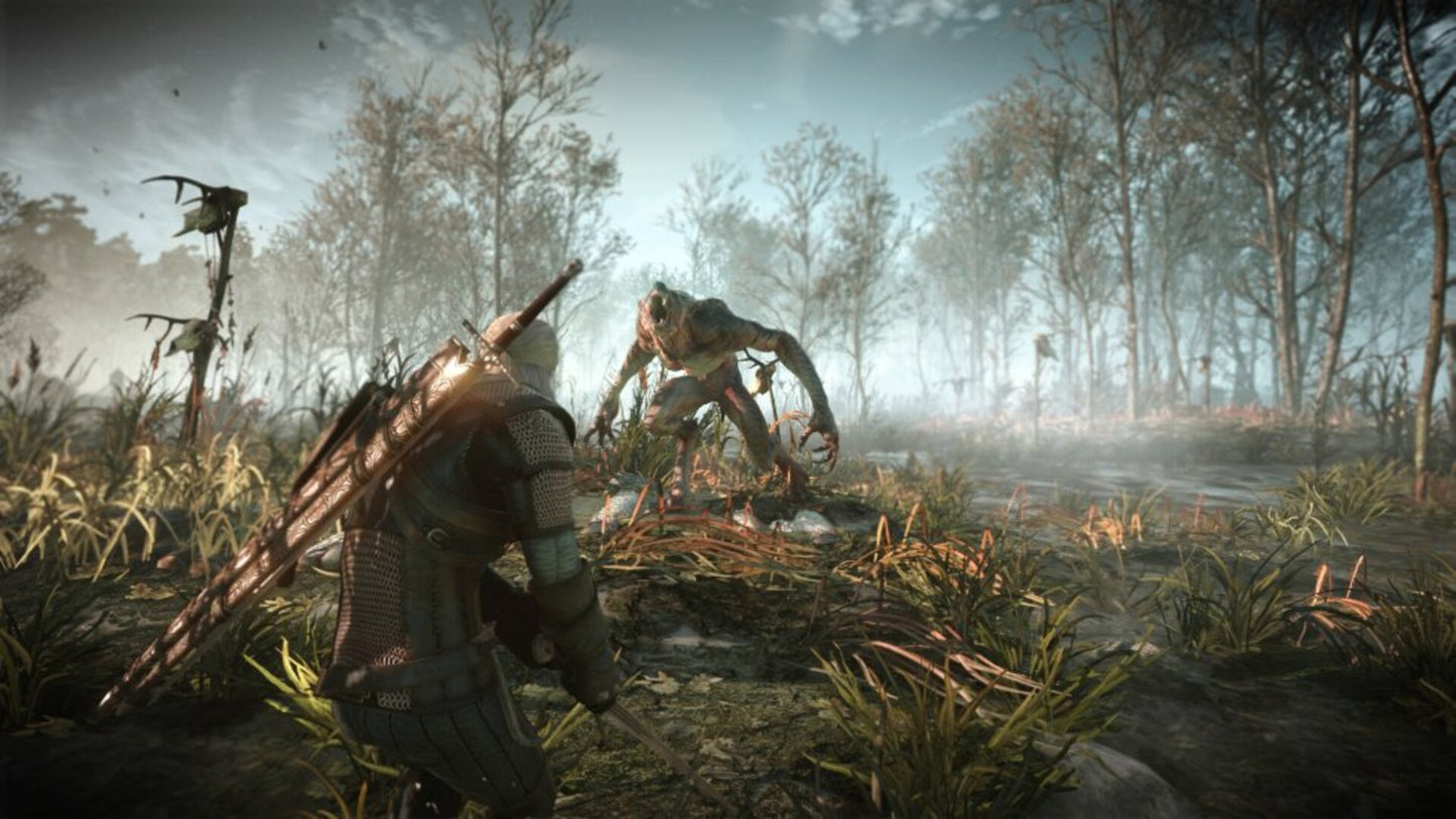 The Witcher 3: Wild Hunt Expansion Pass (PC) - GOG.COM Key - GLOBAL  [Email/Instant Delivery]