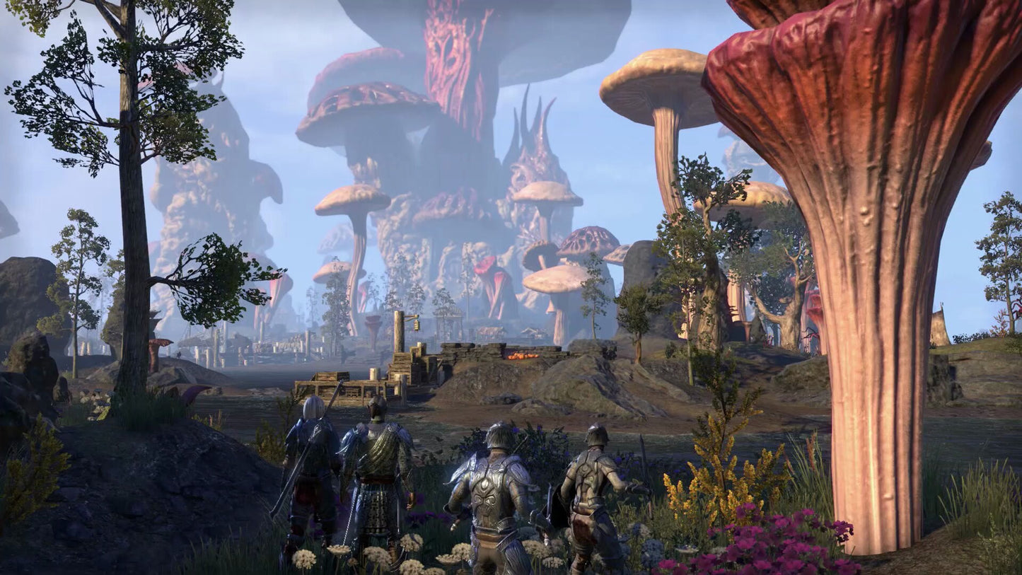 The Elder Scrolls Online - Morrowind Upgrade Key The Elder (PC) - TESO Key - GLOBAL  [Email/Instant Delivery]