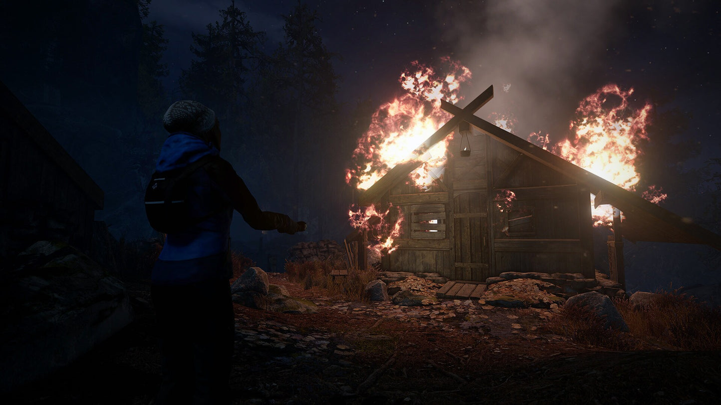 Through the Woods (PC) - Steam Key - GLOBAL   - 1C Company [Email/Instant Delivery]