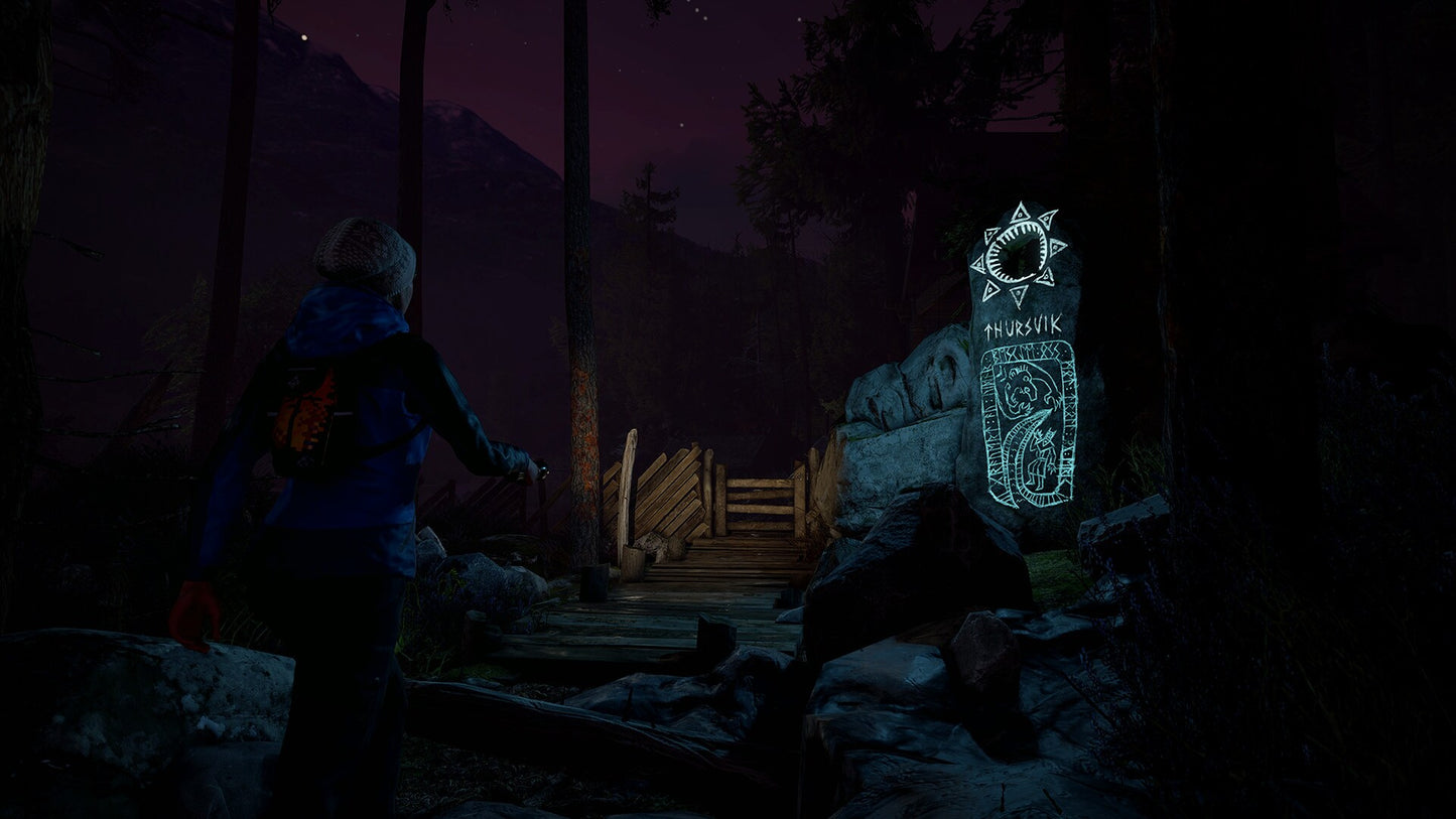 Through the Woods (PC) - Steam Key - GLOBAL   - 1C Company [Email/Instant Delivery]