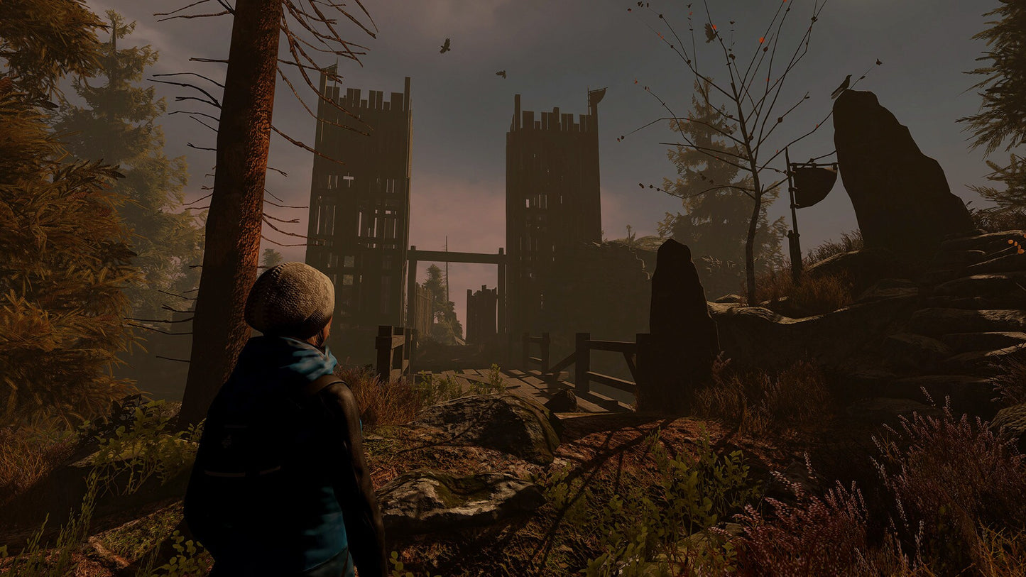 Through the Woods (PC) - Steam Key - GLOBAL   - 1C Company [Email/Instant Delivery]