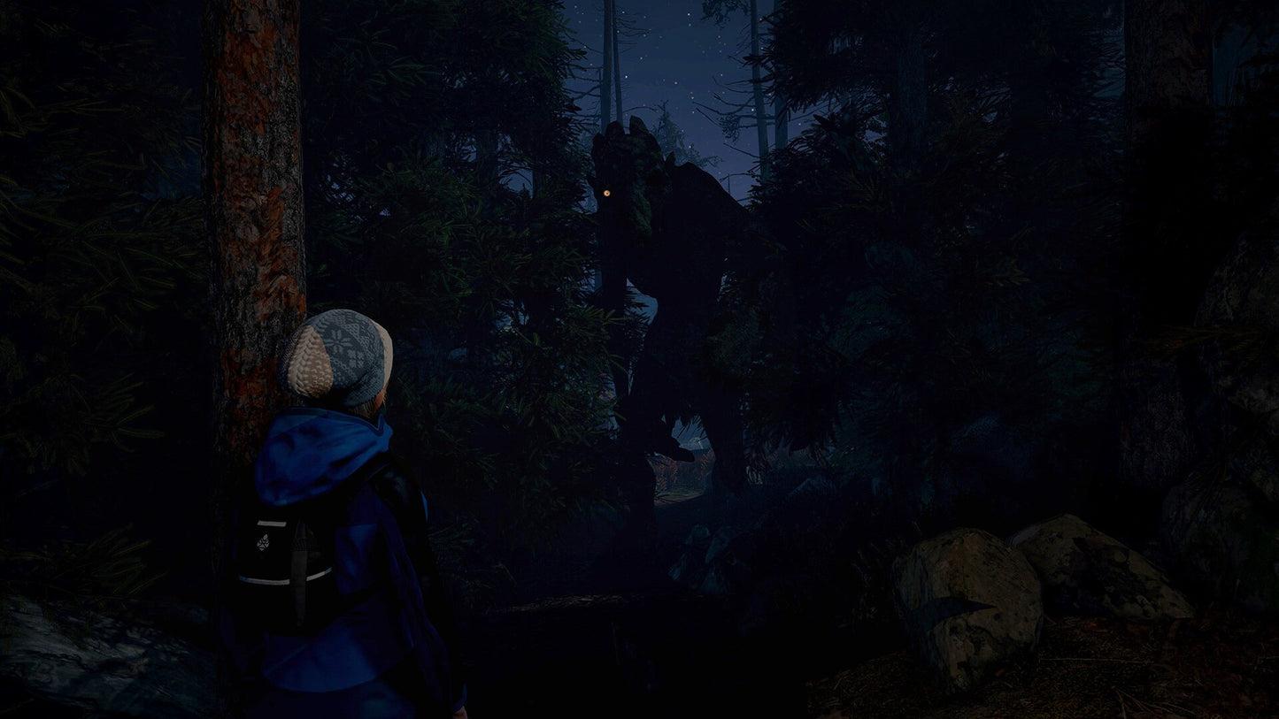 Through the Woods (PC) - Steam Key - GLOBAL   - 1C Company [Email/Instant Delivery]