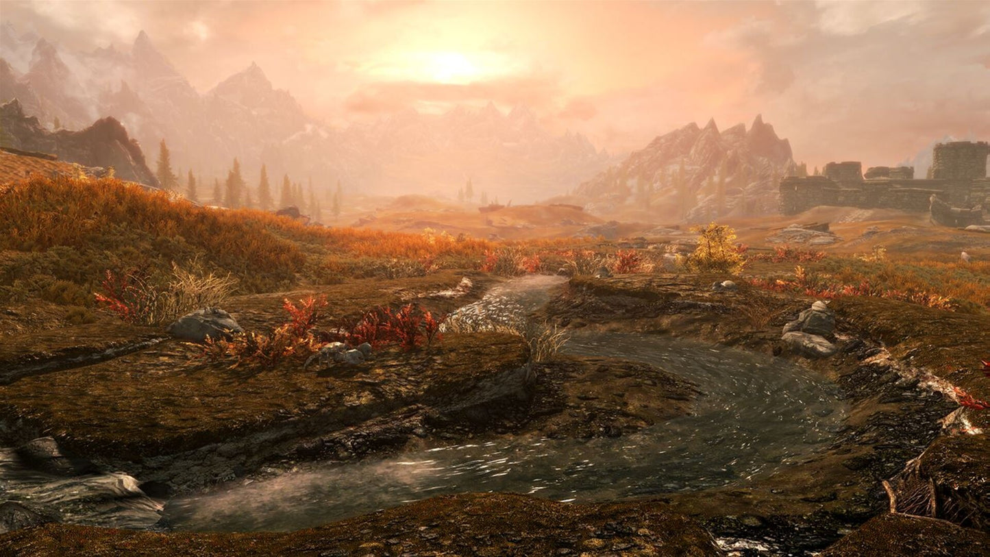 The Elder Scrolls V: Skyrim Special Edition (PC) - Steam Gift - GLOBAL   - Bethesda Softworks [Email/Instant Delivery]
