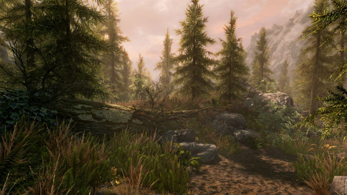 The Elder Scrolls V: Skyrim Special Edition (PC) - Steam Gift - GLOBAL   - Bethesda Softworks [Email/Instant Delivery]