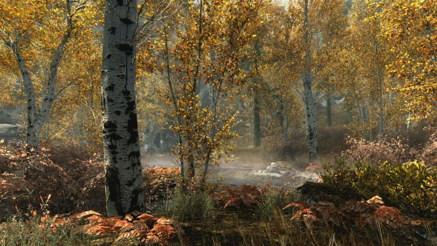 The Elder Scrolls V: Skyrim Special Edition (PC) - Steam Gift - GLOBAL   - Bethesda Softworks [Email/Instant Delivery]
