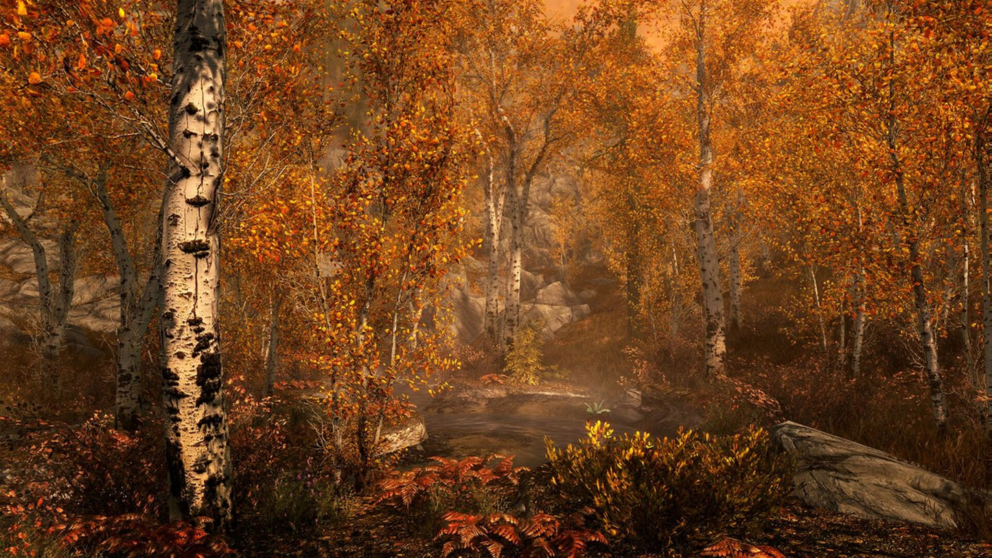 The Elder Scrolls V: Skyrim Special Edition (PC) - Steam Gift - GLOBAL   - Bethesda Softworks [Email/Instant Delivery]