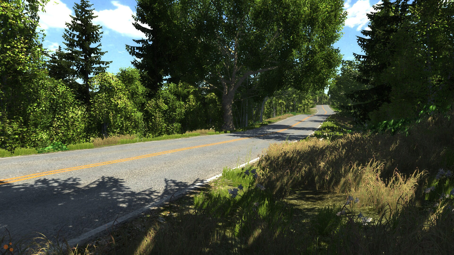 BeamNG.drive (PC) - Steam Gift - GLOBAL  [Email/Instant Delivery]