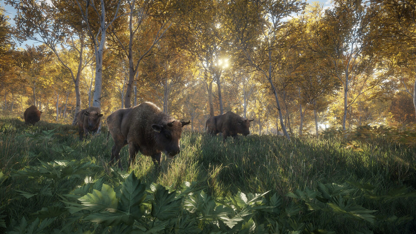 theHunter: Call of the Wild (PC) - Steam Key - GLOBAL   - Avalanche Studios [Email/Instant Delivery]