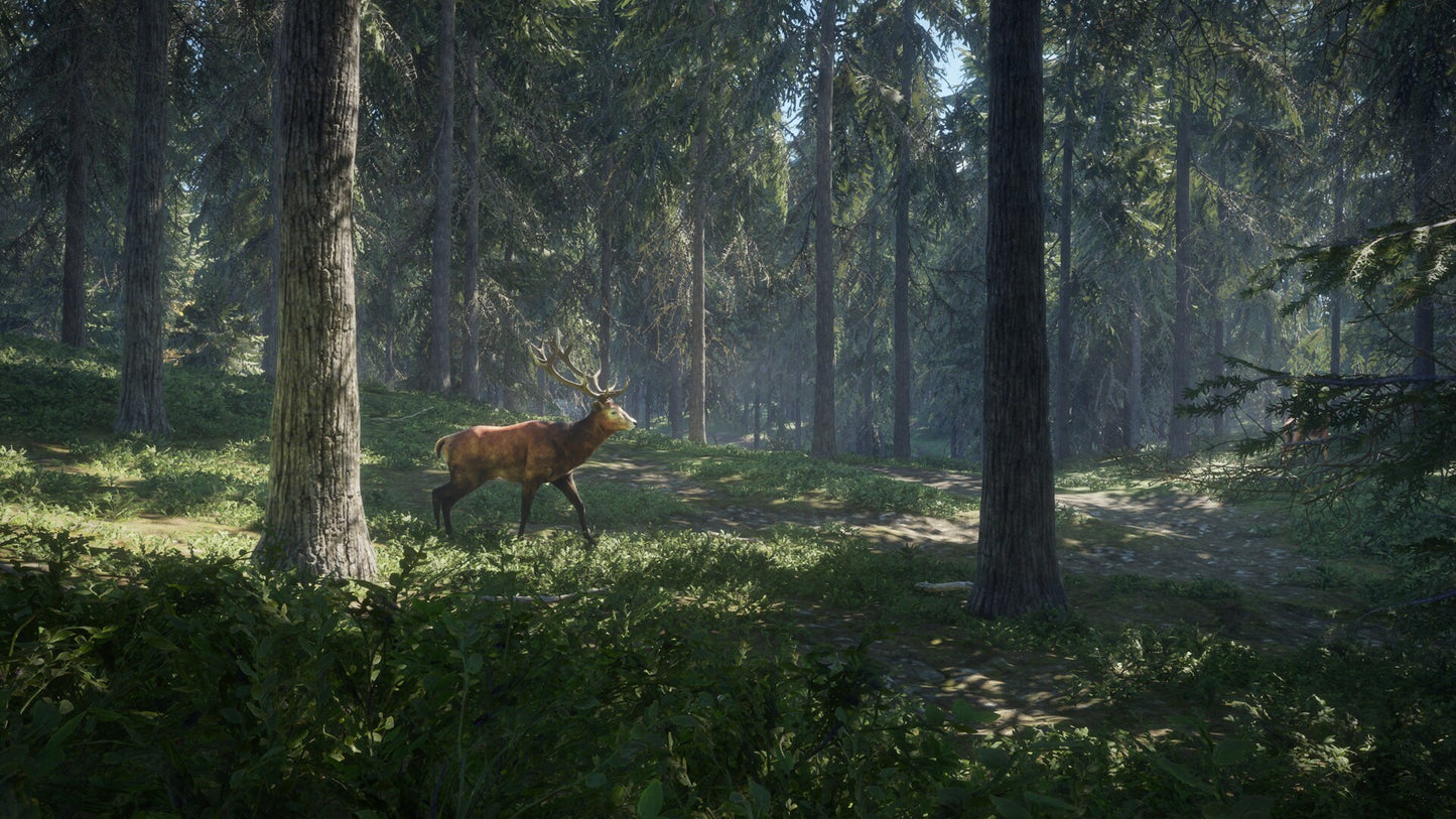 theHunter: Call of the Wild (PC) - Steam Key - GLOBAL   - Avalanche Studios [Email/Instant Delivery]