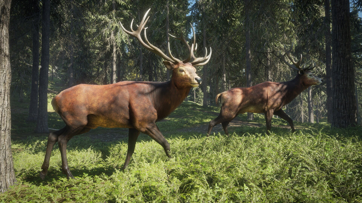theHunter: Call of the Wild (PC) - Steam Key - GLOBAL   - Avalanche Studios [Email/Instant Delivery]
