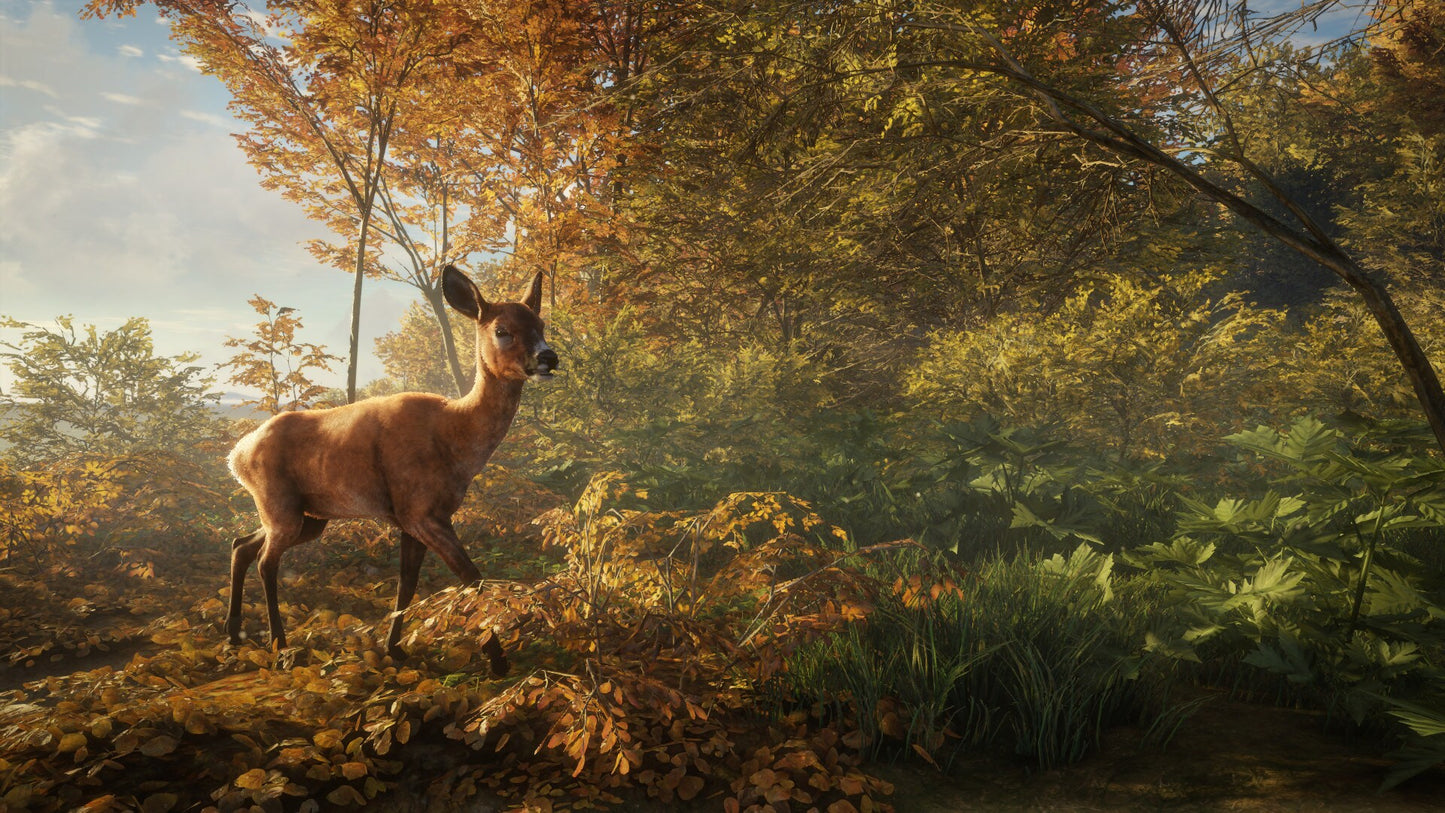 theHunter: Call of the Wild (PC) - Steam Key - GLOBAL   - Avalanche Studios [Email/Instant Delivery]