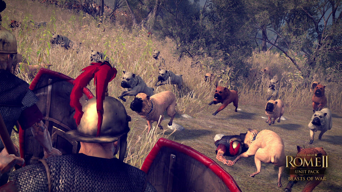 Total War: ROME II - Beasts of War Unit Pack Steam Key GLOBAL   - SEGA [Email/Instant Delivery]
