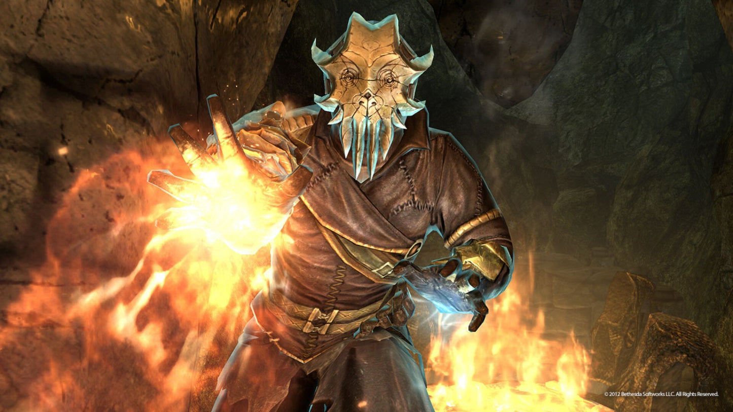 The Elder Scrolls V: Skyrim - Dragonborn Steam Gift GLOBAL   - Bethesda Softworks [Email/Instant Delivery]