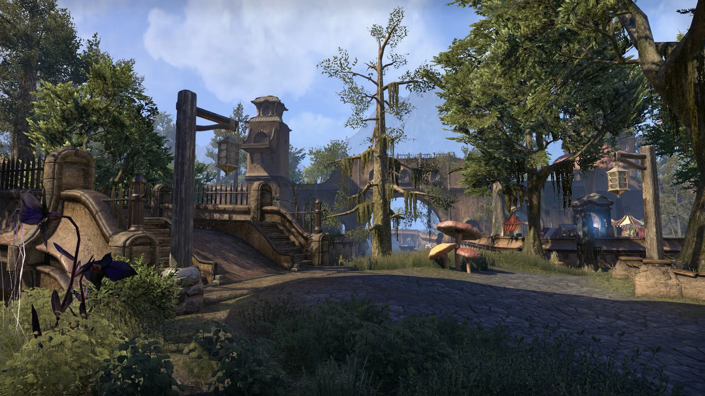 The Elder Scrolls Online + Morrowind Upgrade - Steam - Key GLOBAL  [Email/Instant Delivery]