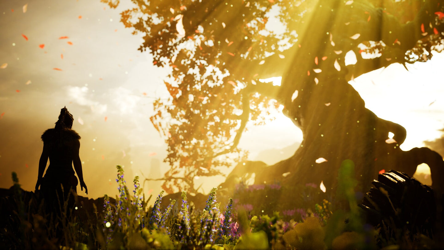 Hellblade: Senua's Sacrifice (PC) - Steam Gift - GLOBAL   - Ninja Theory [Email/Instant Delivery]