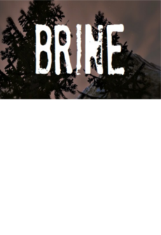 Brine Steam Key GLOBAL   - BrineTeam [Email/Instant Delivery]