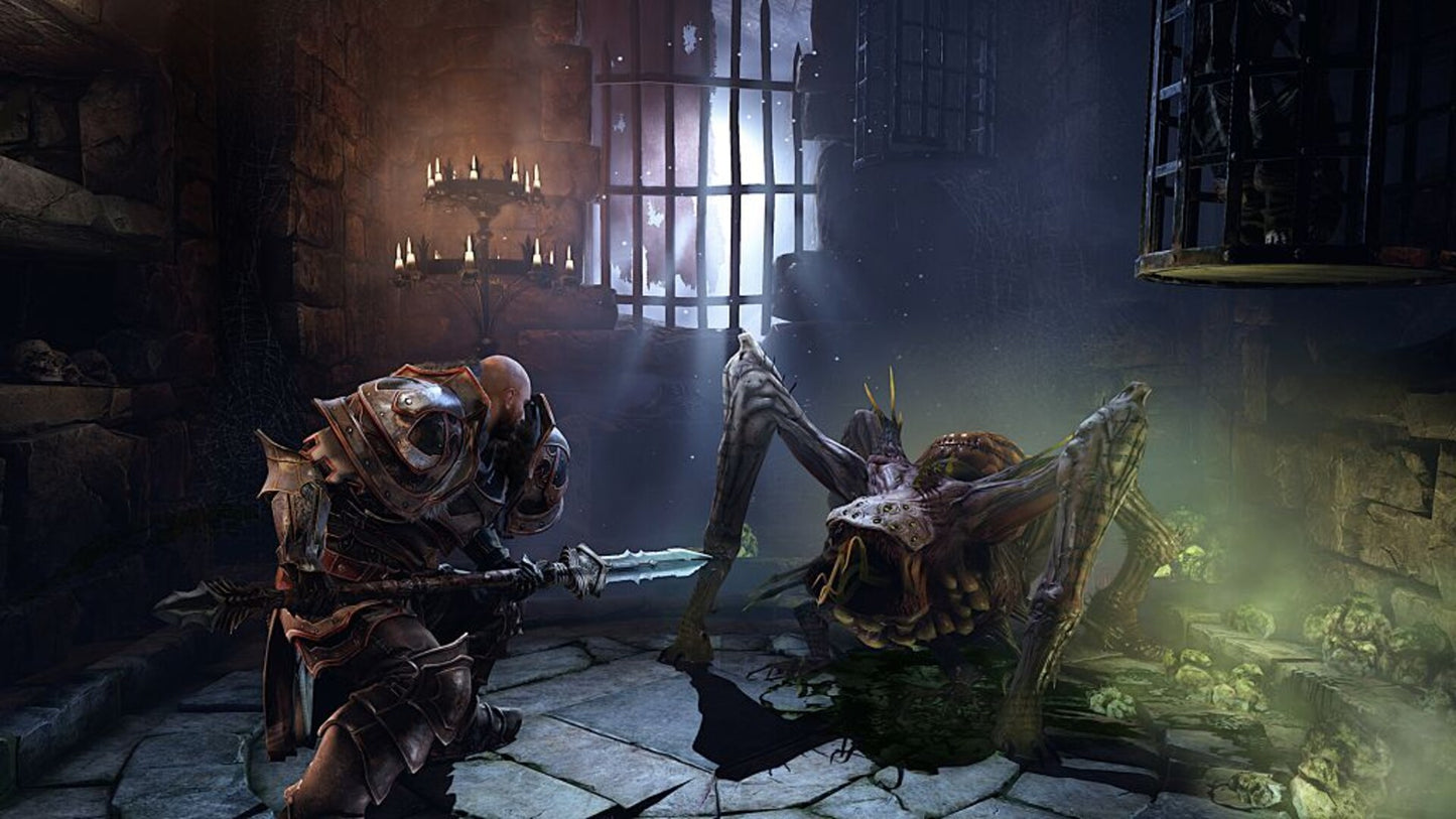 Lords Of The Fallen (2014) (PC) - Steam Key - GLOBAL   - CI Games [Email/Instant Delivery]
