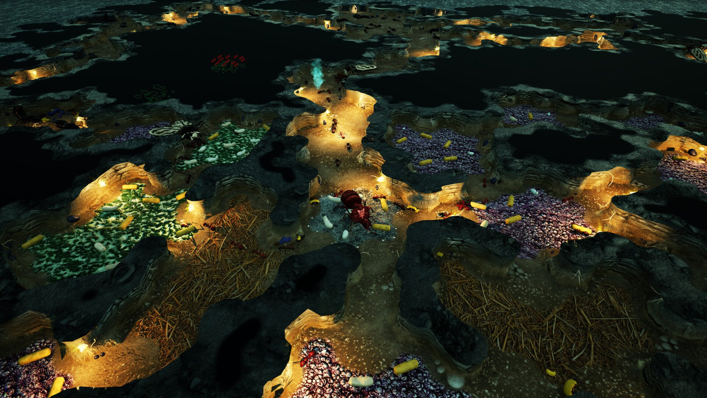 Empires of the Undergrowth (PC) - Steam Gift - GLOBAL   - Slug Disco Studios [Email/Instant Delivery]