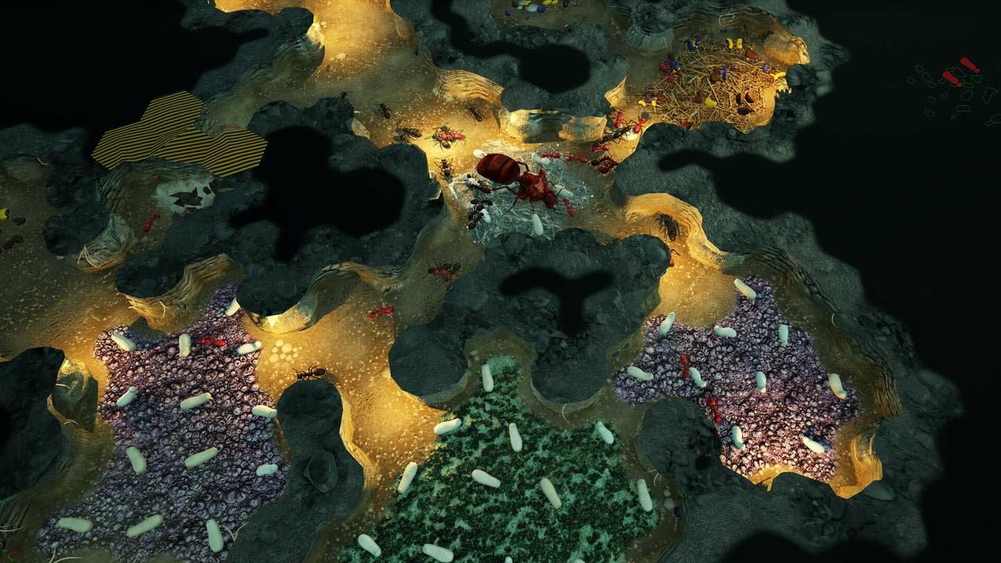 Empires of the Undergrowth (PC) - Steam Gift - GLOBAL   - Slug Disco Studios [Email/Instant Delivery]