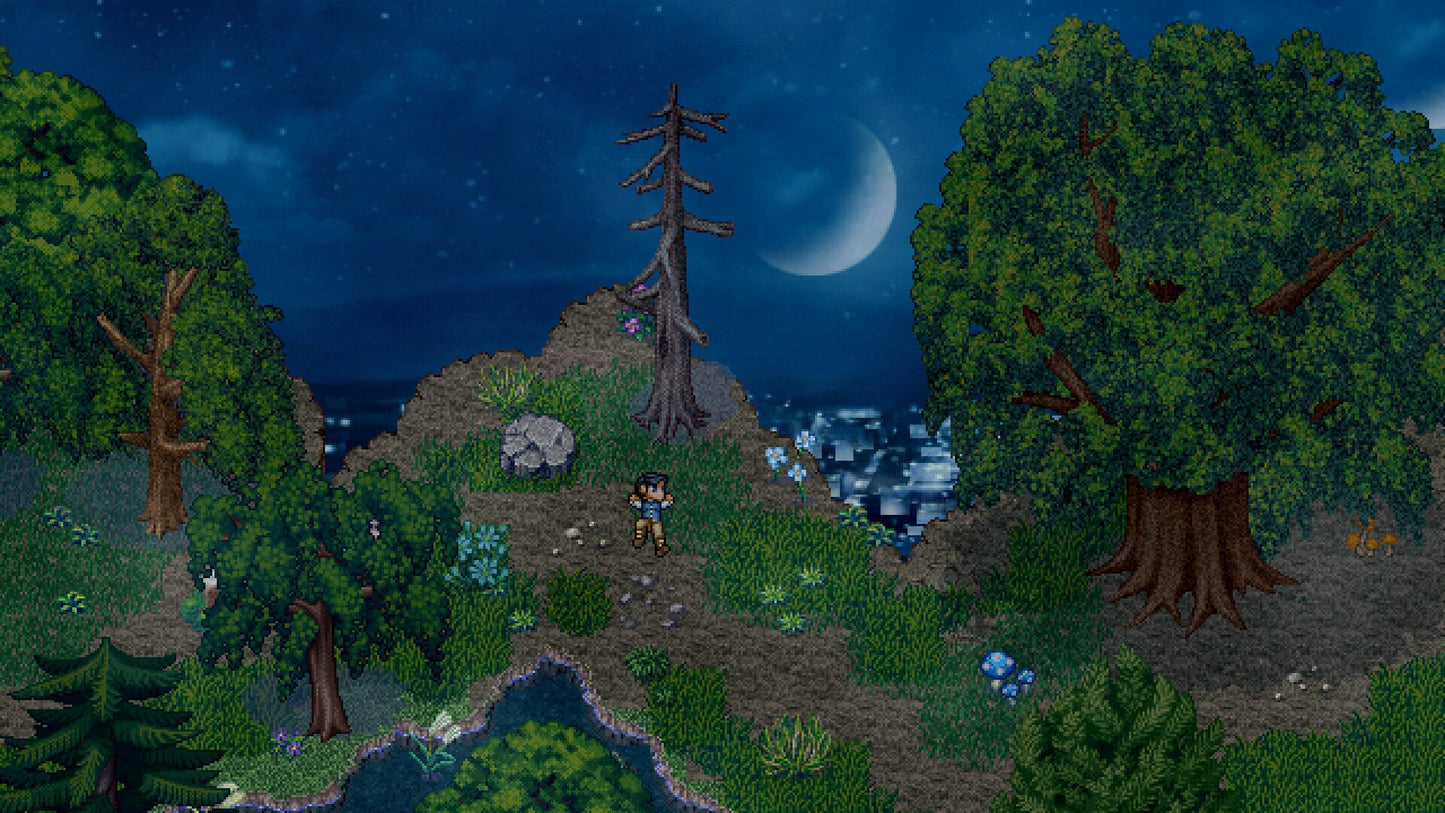 Finding Paradise Steam Key GLOBAL   - Freebird Games [Email/Instant Delivery]
