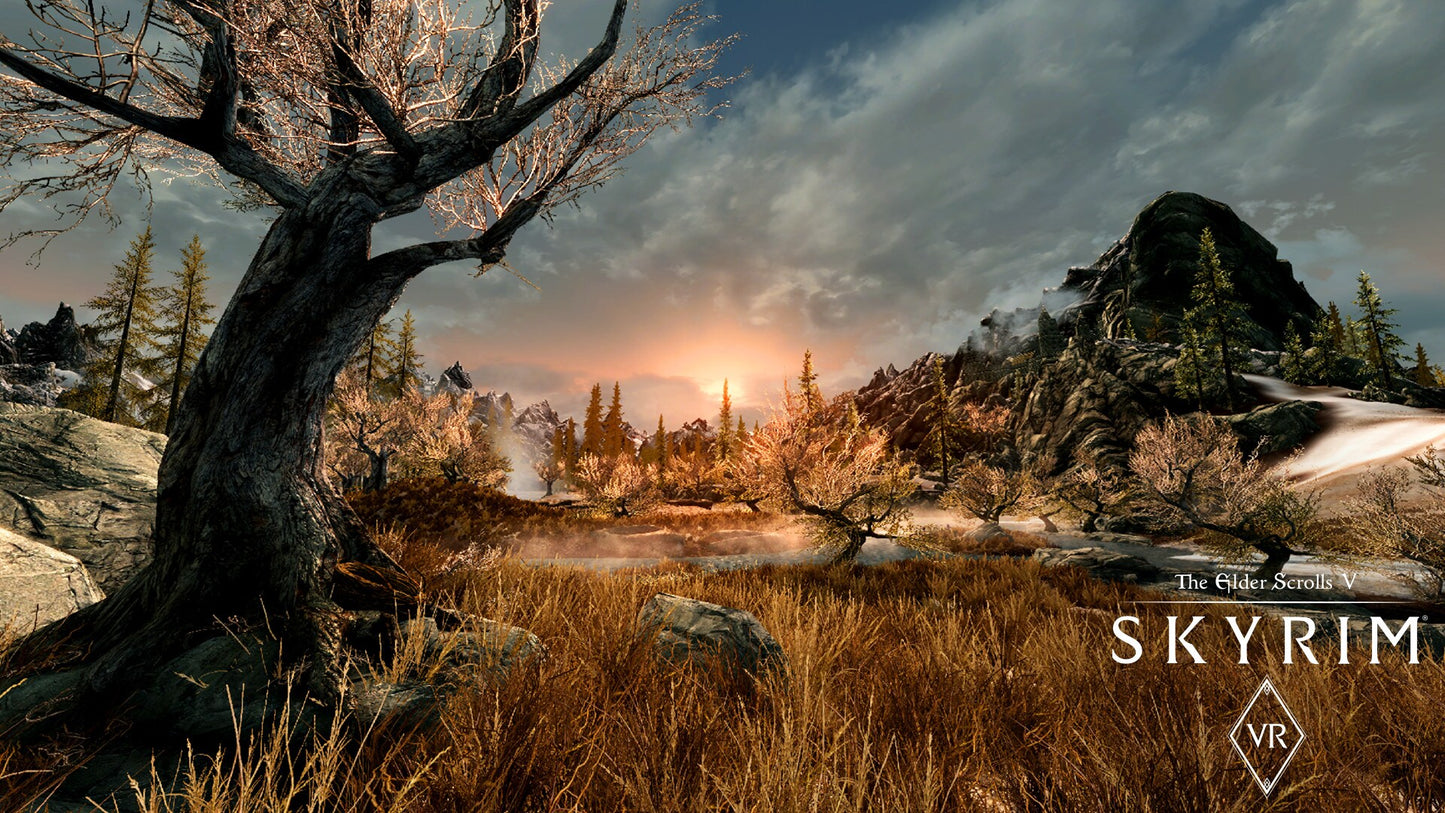 The Elder Scrolls V: Skyrim VR Steam Key GLOBAL   - Bethesda Softworks [Email/Instant Delivery]