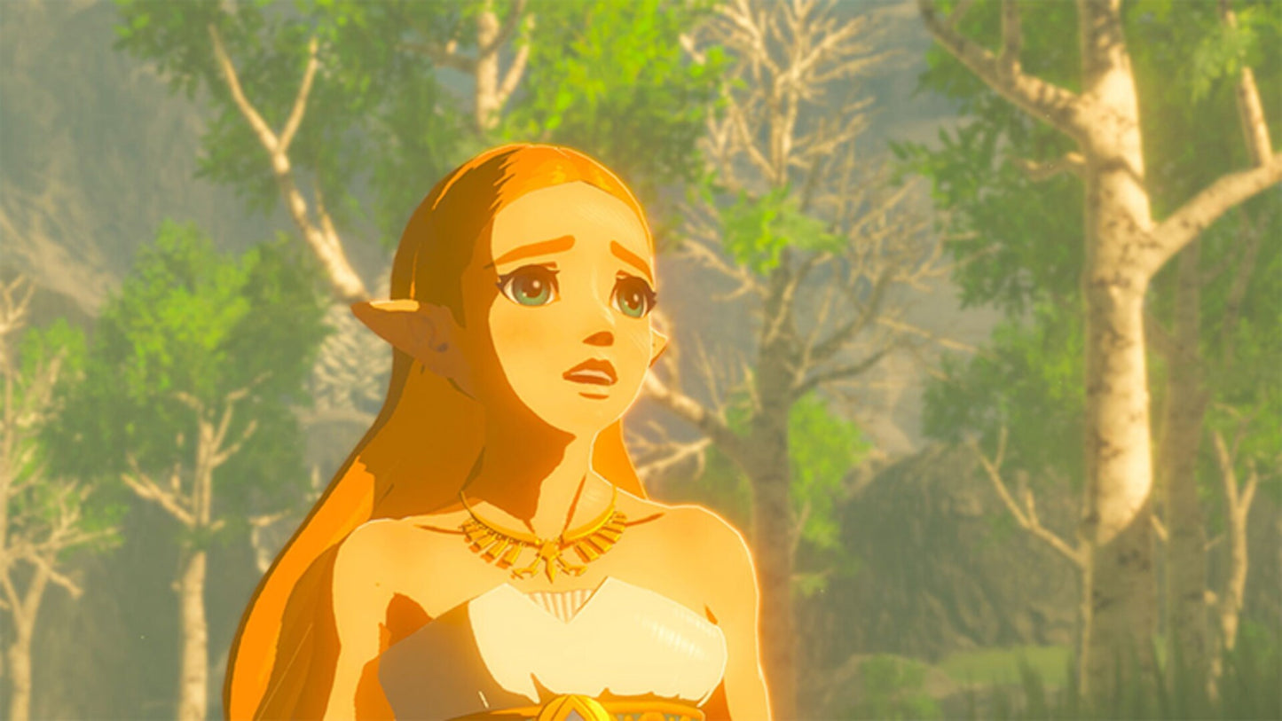 The Legend of Zelda: Breath of the Wild (Nintendo Switch 2) - Nintendo eShop Key - UNITED STATES  [Email/Instant Delivery]
