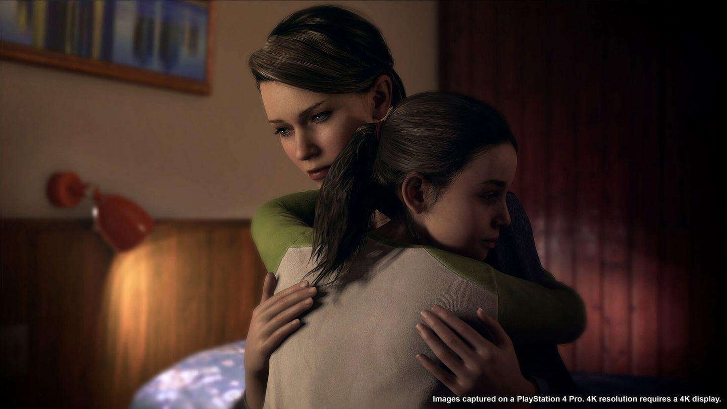 Detroit: Become Human (PC) - Steam Key - UNITED STATES   - Sony Interactive Entertainment [Email/Instant Delivery]