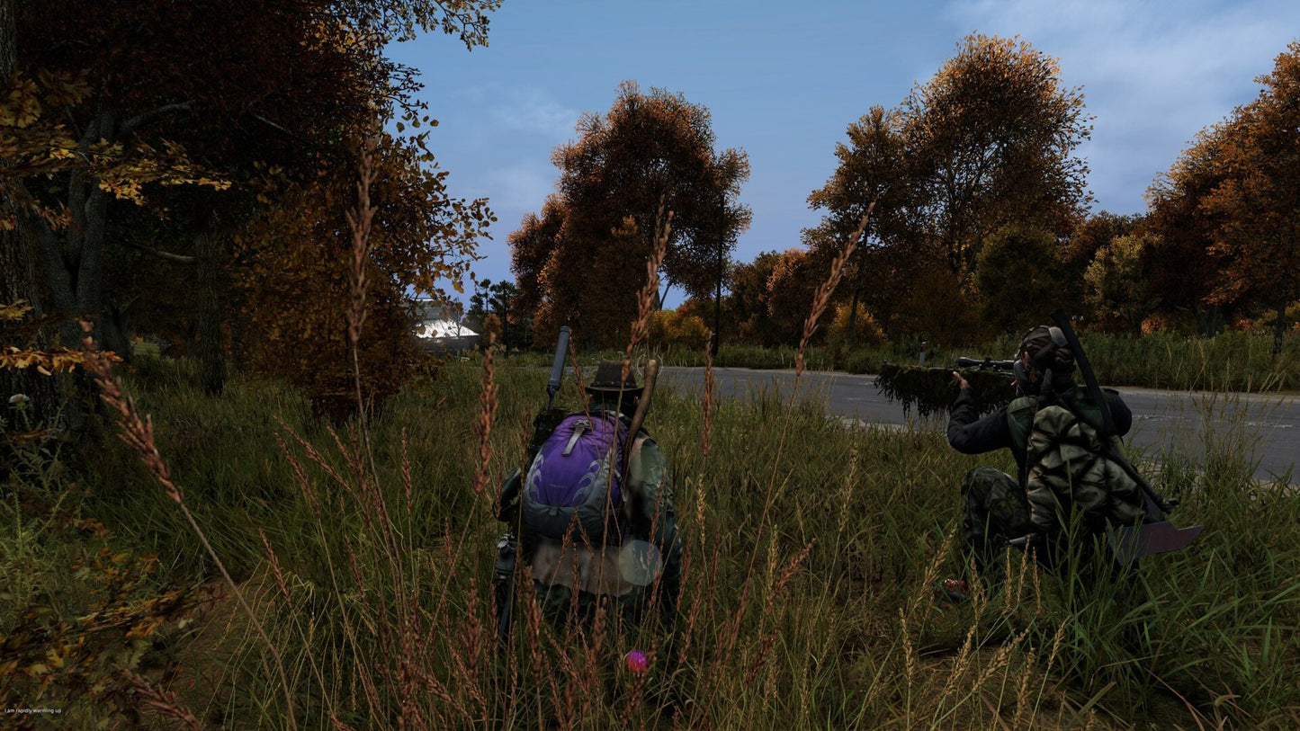 DayZ (PC) - Steam Key - UNITED STATES   - Bohemia Interactive [Email/Instant Delivery]