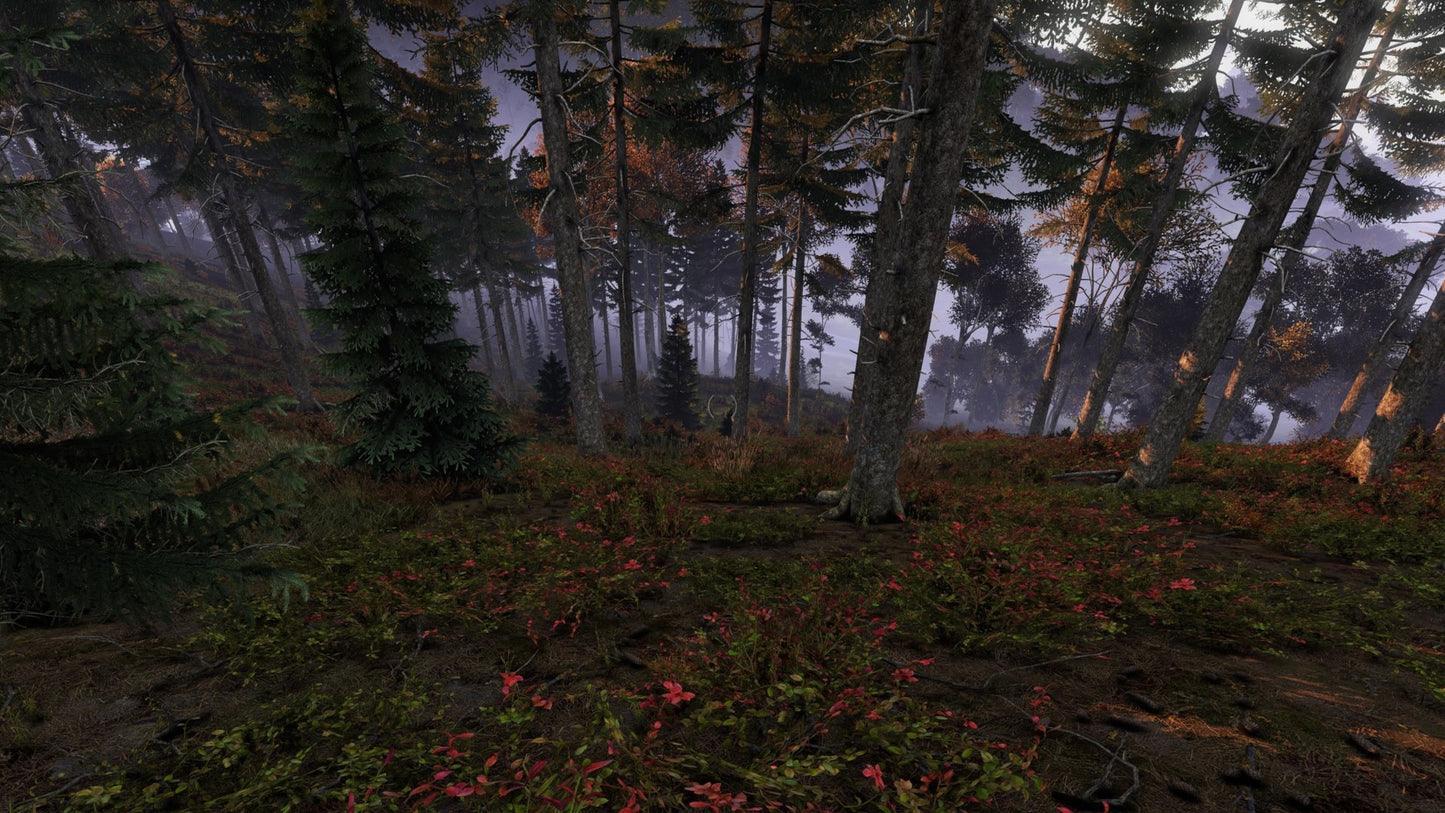 DayZ | Deluxe Edition (PC) - Steam Gift - GLOBAL   - Bohemia Interactive [Email/Instant Delivery]