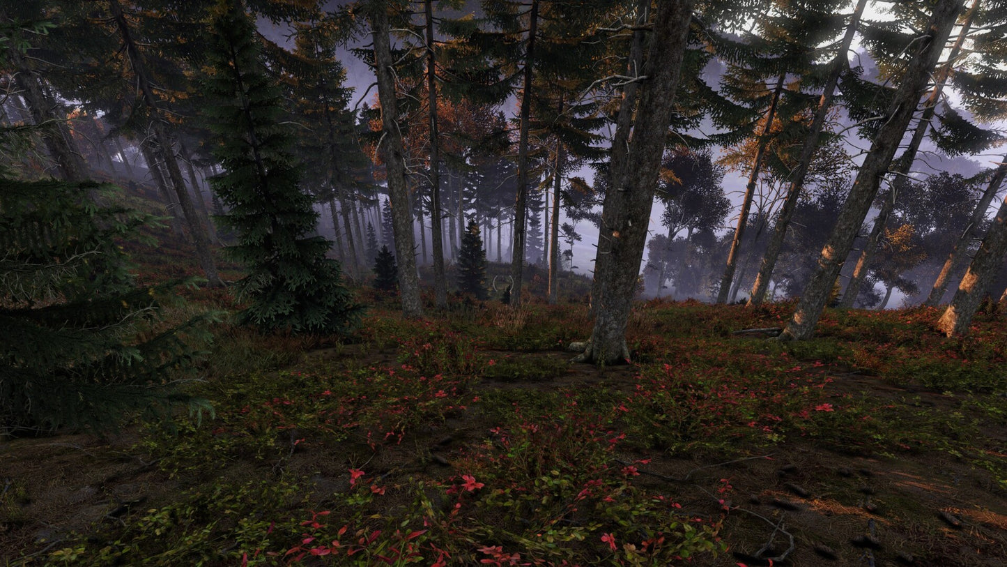 DayZ (PC) - Steam Key - UNITED STATES   - Bohemia Interactive [Email/Instant Delivery]