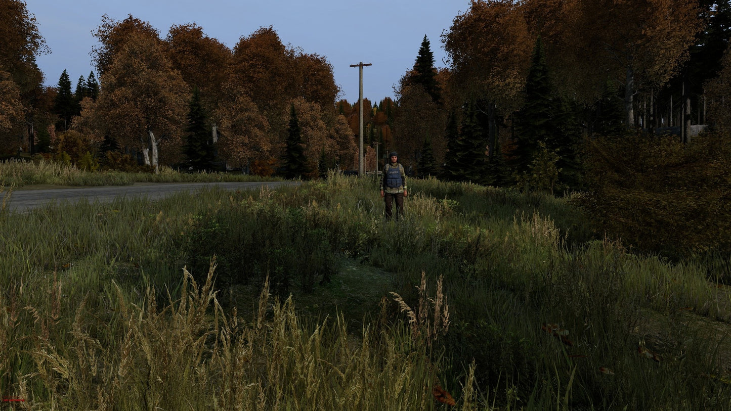 DayZ (PC) - Steam Gift - GLOBAL   - Bohemia Interactive [Email/Instant Delivery]