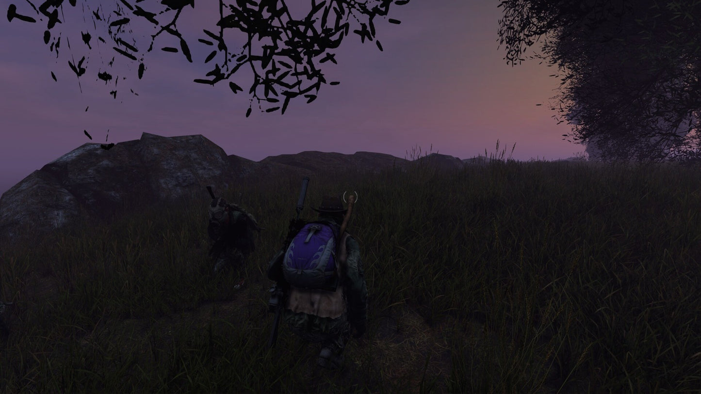 DayZ | Deluxe Edition (PC) - Steam Gift - GLOBAL   - Bohemia Interactive [Email/Instant Delivery]