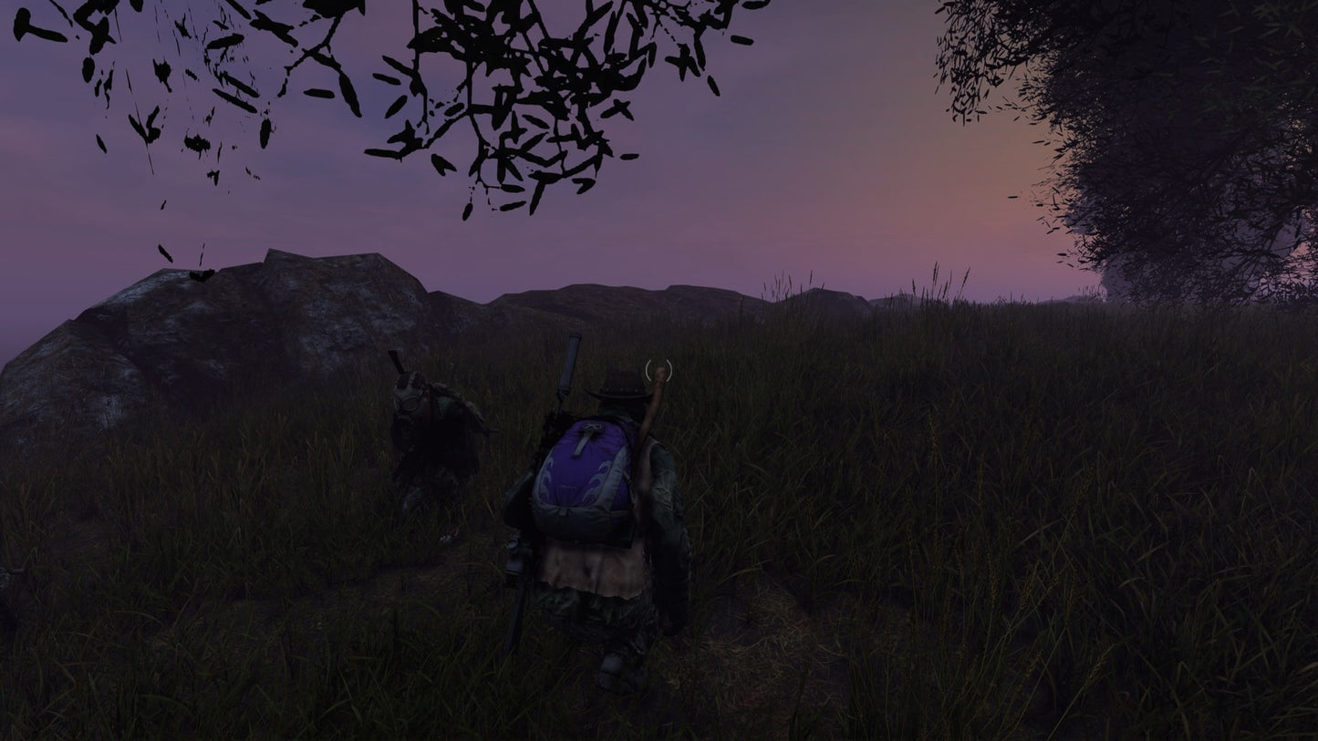 DayZ (PC) - Steam Gift - GLOBAL   - Bohemia Interactive [Email/Instant Delivery]