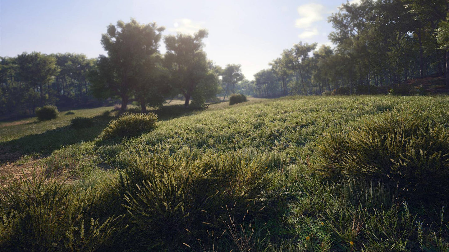 SCUM - (PC) Steam Key - GLOBAL   - Jagex Ltd. Games Studio [Email/Instant Delivery]