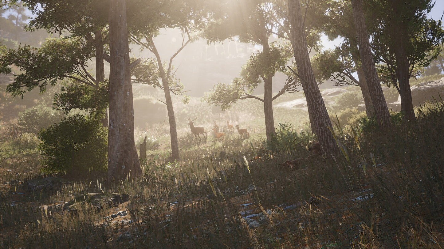 SCUM (PC) - Steam Gift - GLOBAL   - Jagex Ltd. Games Studio [Email/Instant Delivery]