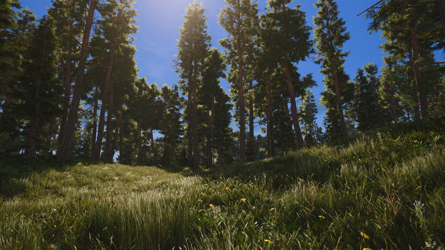 SCUM (PC) - Steam Gift - GLOBAL   - Jagex Ltd. Games Studio [Email/Instant Delivery]