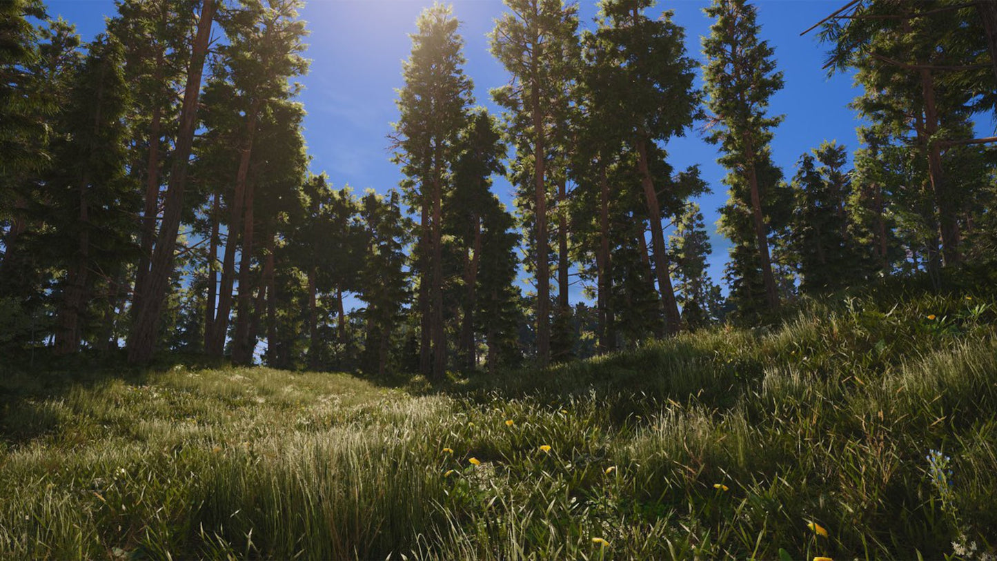 SCUM (PC) - Steam Gift - UNITED STATES   - Jagex Ltd. Games Studio [Email/Instant Delivery]