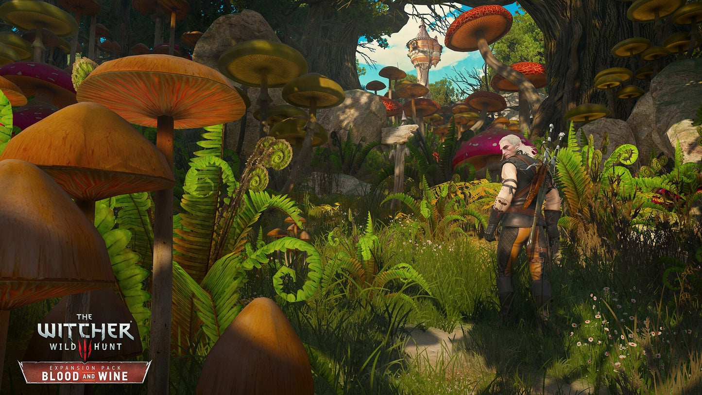 The Witcher 3: Wild Hunt - Blood and Wine (PC) - GOG.COM Key - GLOBAL   - CD PROJEKT RED [Email/Instant Delivery]