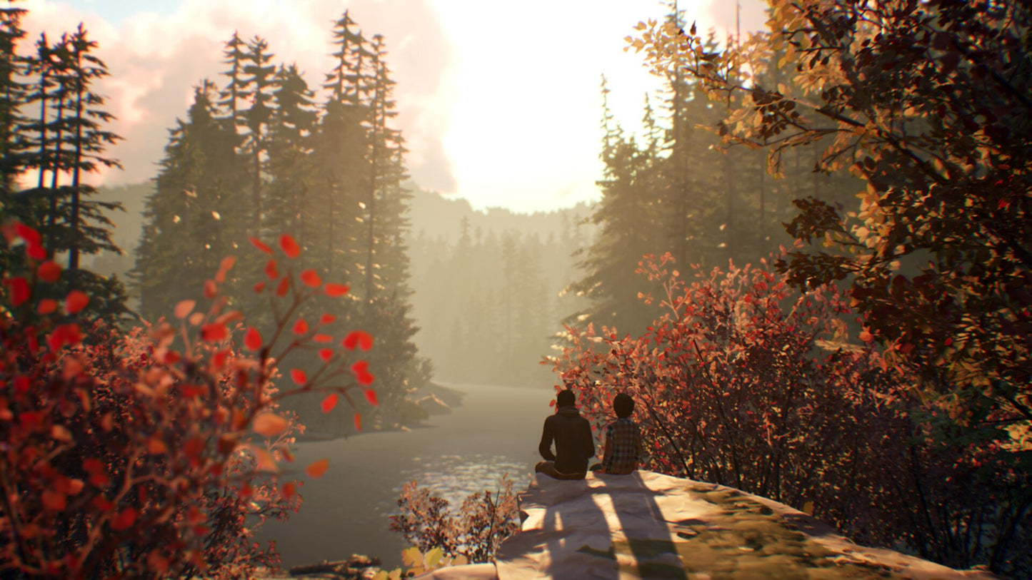 Life is Strange 2 Complete Season Steam Key NORTH AMERICA  [Email/Instant Delivery]